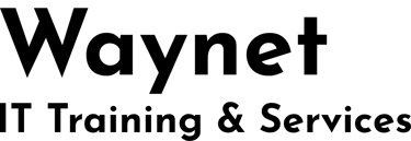 Waynet IT Training and Services logo