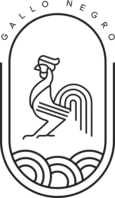 Noche Áurea logo