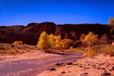 Fremont River, Capitol Reef N.P.