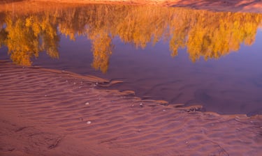Fall Color Reflections, Capitol Reef N.P.