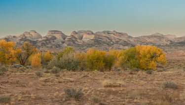 Fall colors, Capitol Reef N.P.