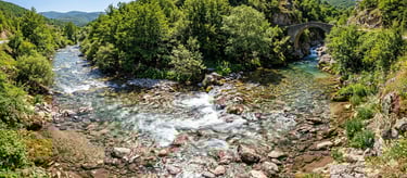 flowing river surrounded by nature