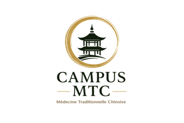 MTC Insights logo