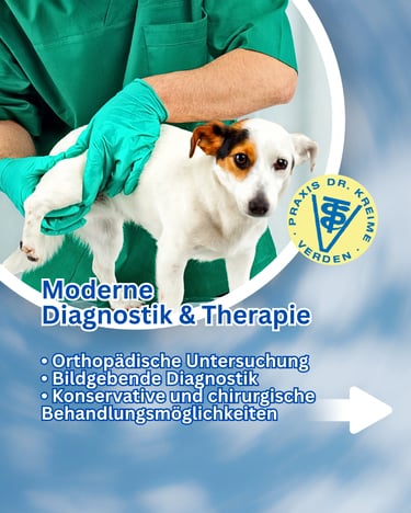 Social Media Betreuung für eine Tierarztpraxis in der Region Verden