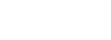 Mexico Jets Group logo