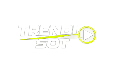 Trendi Sot logo