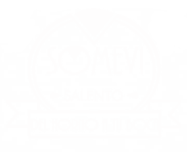 SOMEVI logo