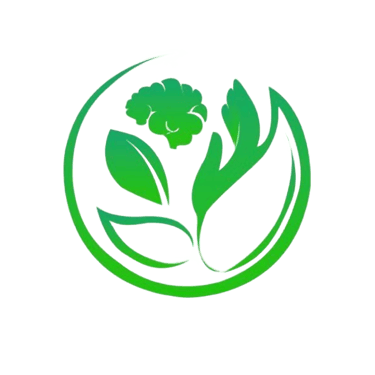 MiNova Mental Health logo