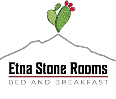 Etna Stone Rooms logo