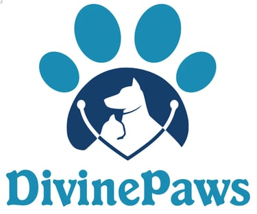 Divine Paws Veterinary Clinic logo