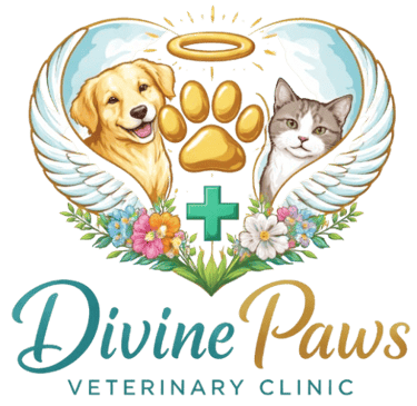 Divine Paws Veterinary Clinic logo