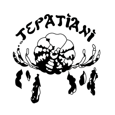 Escuela Tepatiani logo