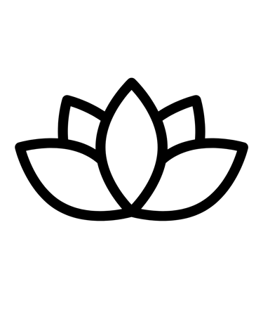 Lider Anti Bonzinho logo