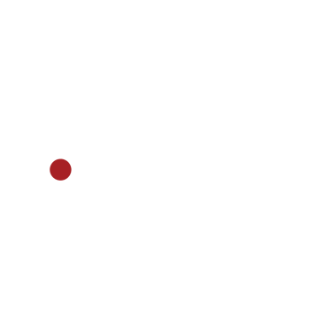 IMAXRAW logo