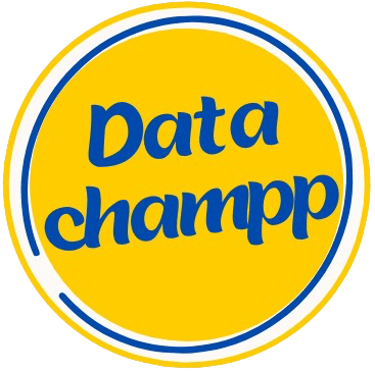 Datachampp Computer Institute - Excel & Adv Excel | Tally | SQL | POWERBI | TABLEAU | MIS Training logo