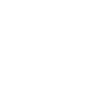 NioSrl logo