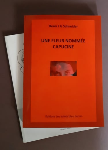 visuel de la page Romans du site