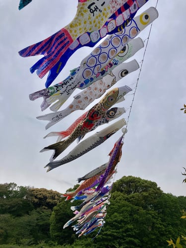 Many Koinobori strung together over a large lake at a park in Japan. Photo by Megumi Watanabe