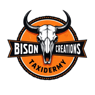 Bison Creations Taxidermy logo