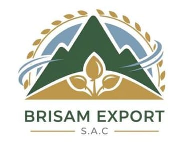 BrisaMundo logo