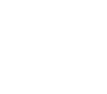 Big Apple Vibe logo