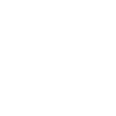 DEPILEV logo