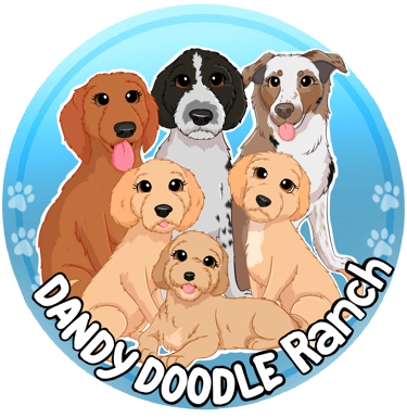 Dandy Doodle Ranch logo