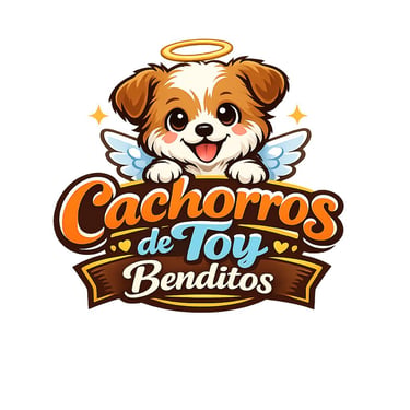 Cachorros de Toy Bendecidos en Venta logo