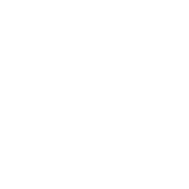 Bird Jams logo