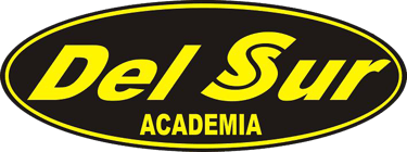 Del Sur Academia logo