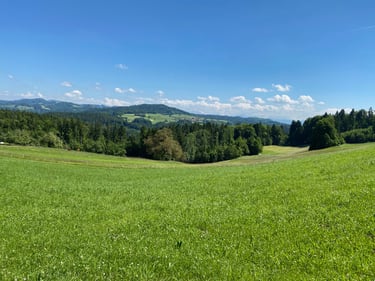 Panoramasicht über die Wiesen, Wälder und Hügel des Appenzell