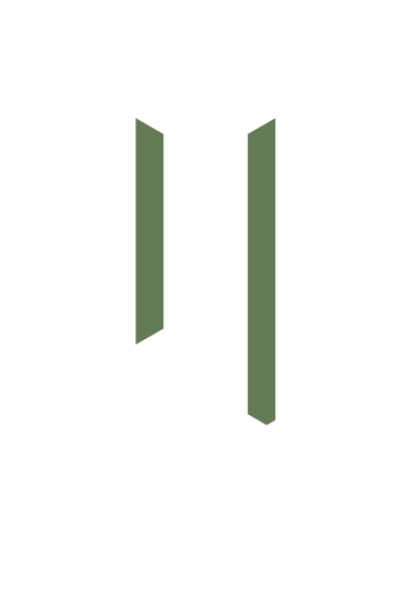 NS Architectural Consultancy logo