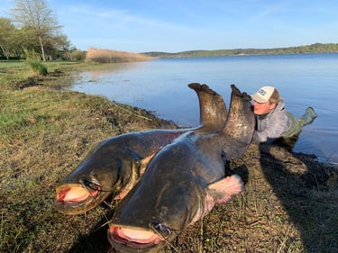gros silure pêche mimizan