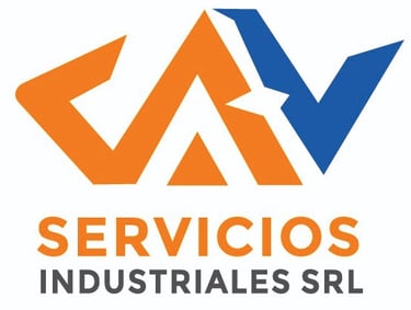 NexoVital logo