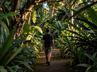 A tranquil scene of a person walking mindfully through a lush, green Latin American botanical garden during golden hour.