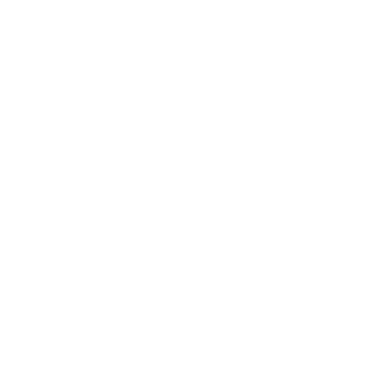 FASHION SESSIONS® logo