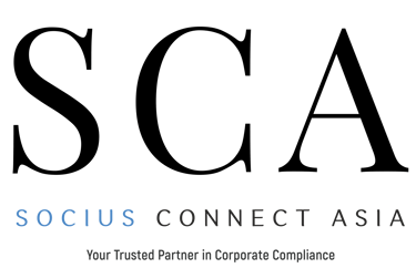Socius Connect Asia LLP logo