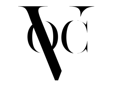 VOC Vision logo