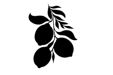 Citron Insurance logo