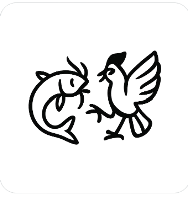 Maleo Trade - Tilapia Fillets Trader logo