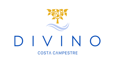Divino Costa Campestre logo