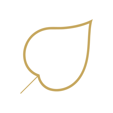 Instituto eFolha logo
