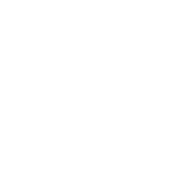Lakeside Floors logo
