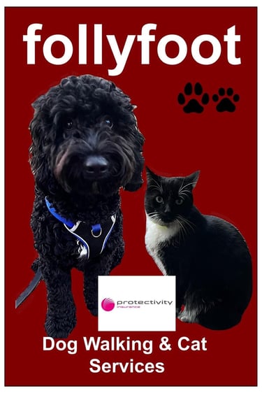 follyfoot Dog Walking and Cat Services logo