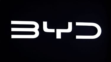 DENZA HAKA PLUIT logo