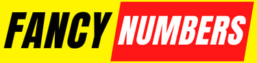 FANCY NUMBERS STORE logo