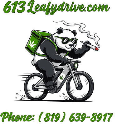 613LeafyDrive: Premium Cannabis, Edibles & Concentrates - GATINEAU-Ottawa Delivery logo