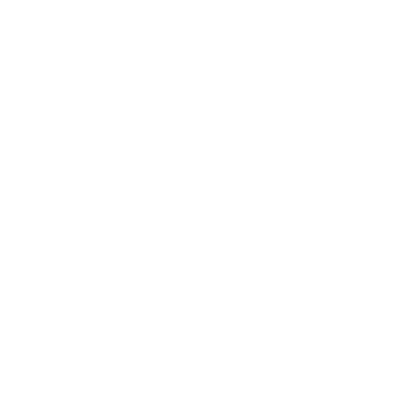 ADYLEY logo