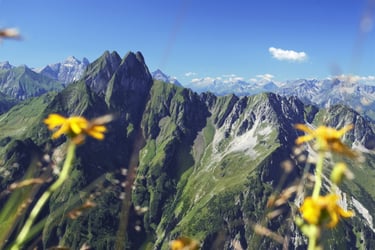 Höfats Sonne berge Arnika im Vordergrund Wolken