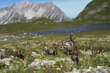 lechtaler alpen oberer sewisee